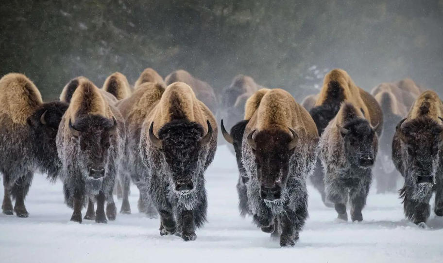 烟台合益利商贸有限公司轮播图5